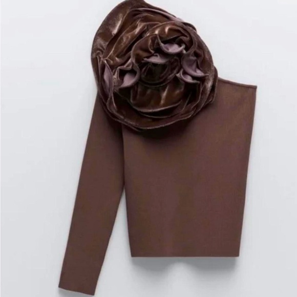 Zara Tops - Zara One Shoulder Asymmetrical Brown Top With Velvet Floral Embellishment Medium